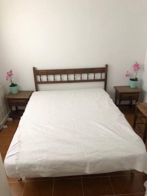 Bungalow In Moorse Stijl إل كامبيلو المظهر الخارجي الصورة